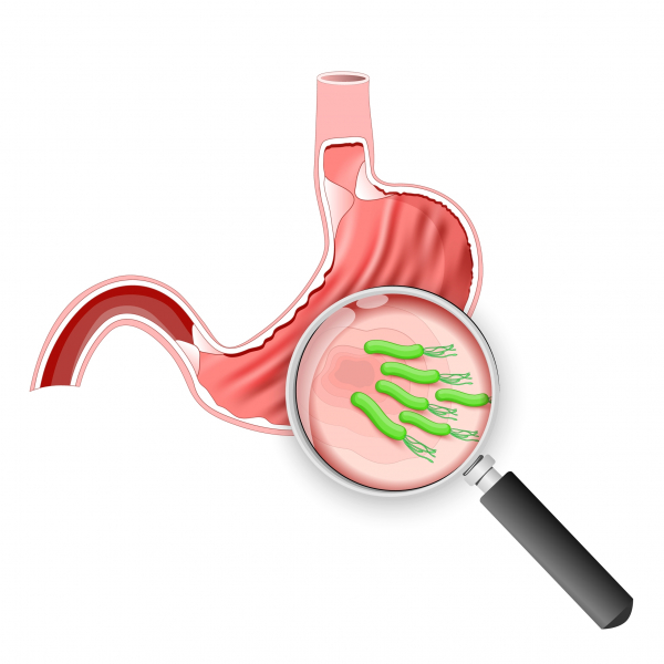 Применение рифасутенизола при инфекции, вызванной Helicobacter pylori.